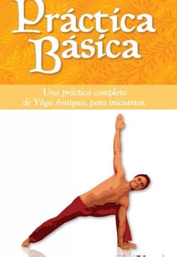 Cover of Práctica Básica